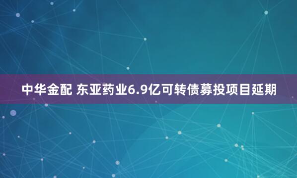 中华金配 东亚药业6.9亿可转债募投项目延期