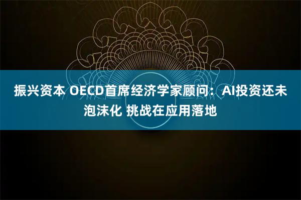 振兴资本 OECD首席经济学家顾问：AI投资还未泡沫化 挑战在应用落地